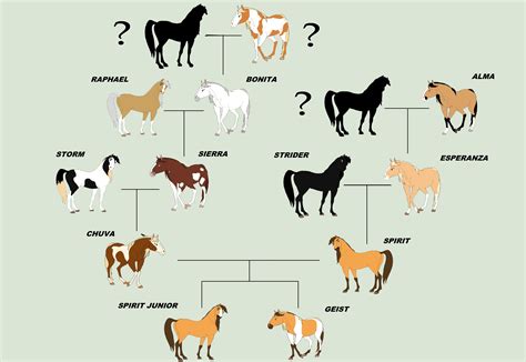 perform horse pedigree|perform horse family tree.